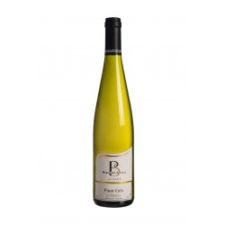 Pinot Gris